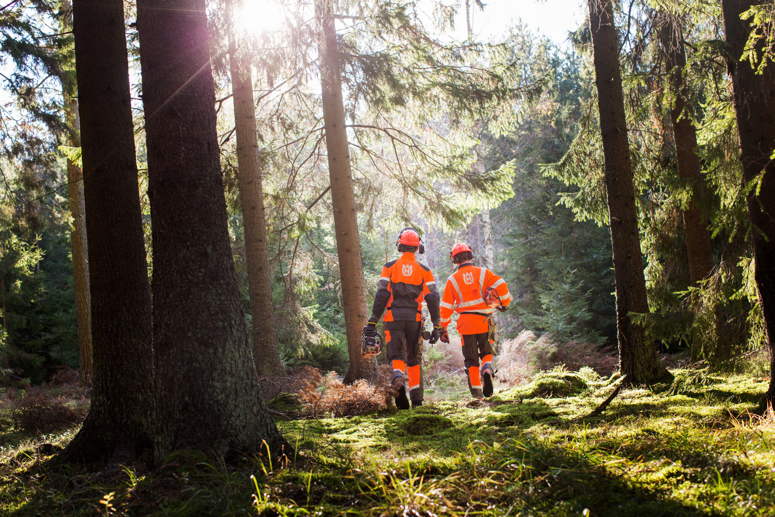 Deux hommes en combinasion orange dans une forêt.