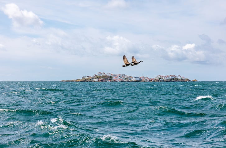 West coast archipelago