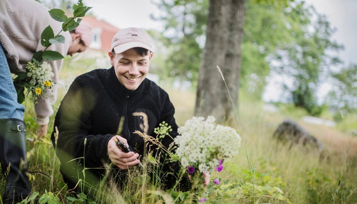 father and child picking flowers