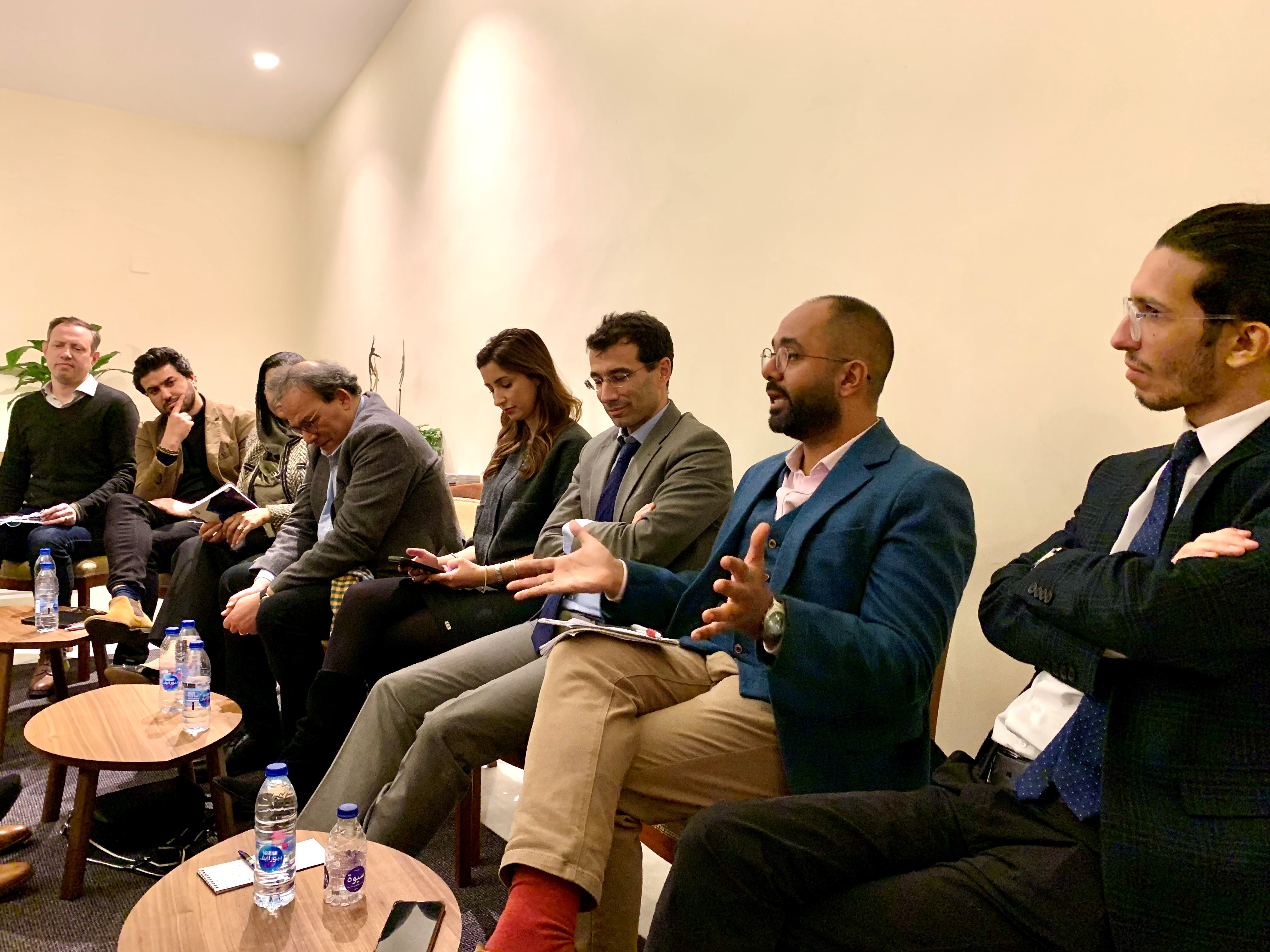 Picture from EU MENA Panel