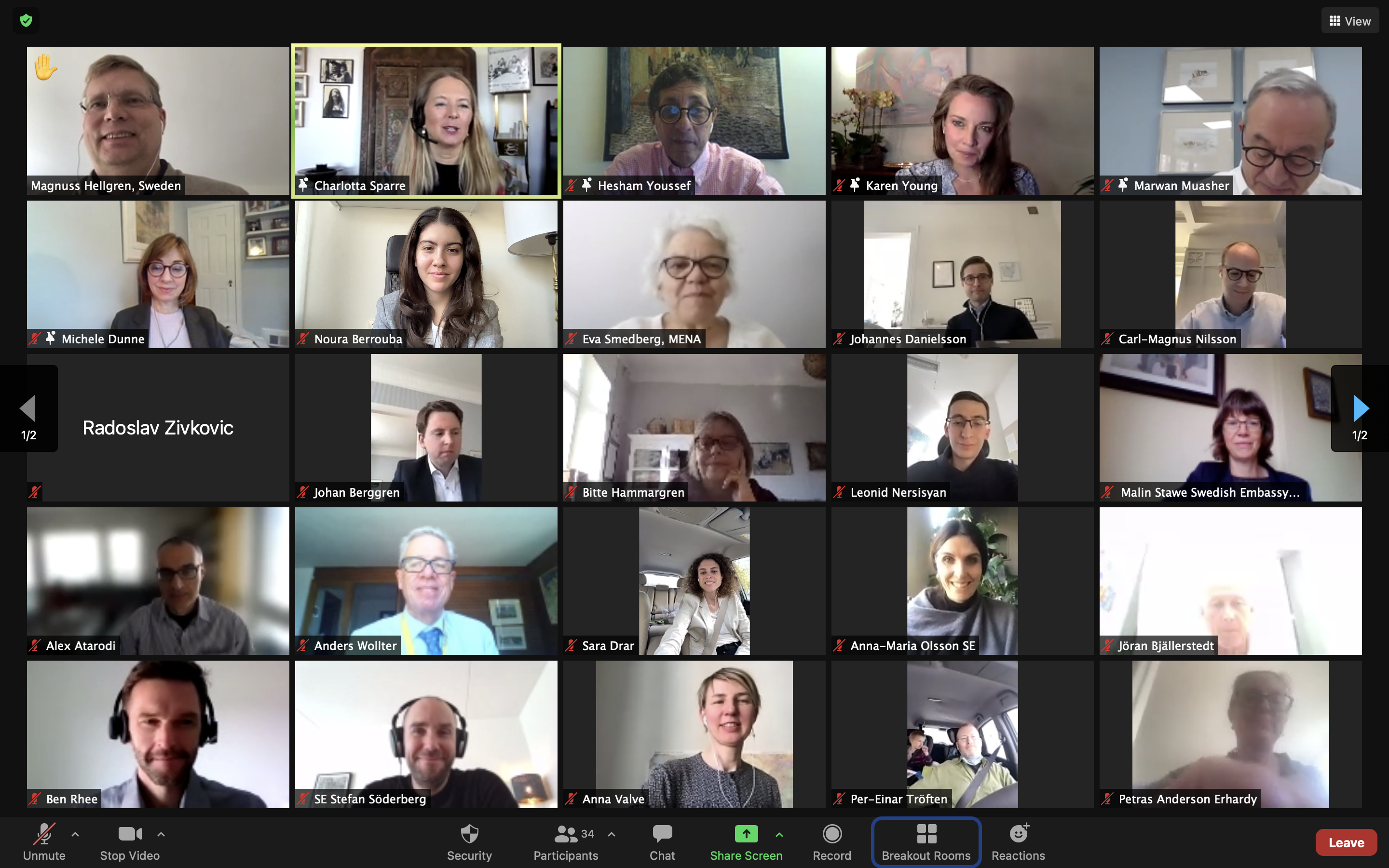 Photo from US MENA webinar