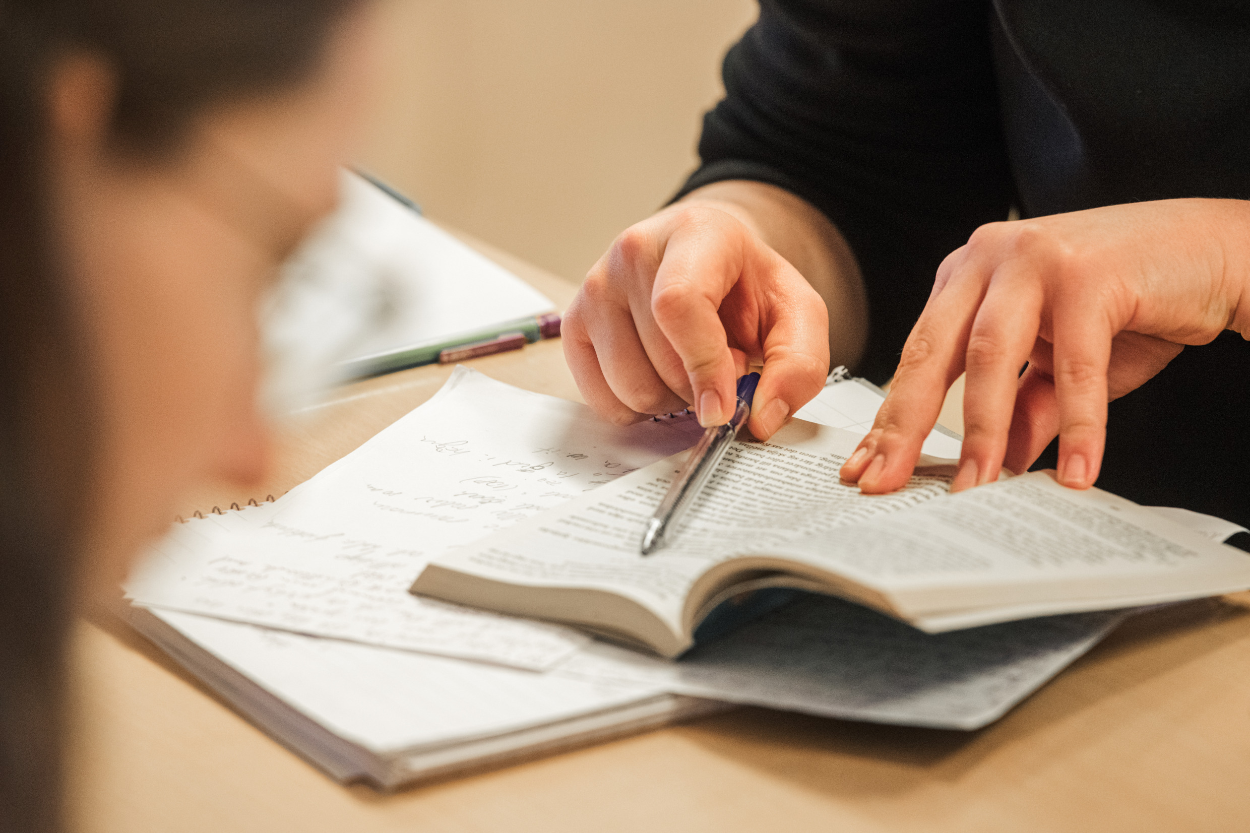 Credits: Evelina Ytterbom/imagebank.sweden.se