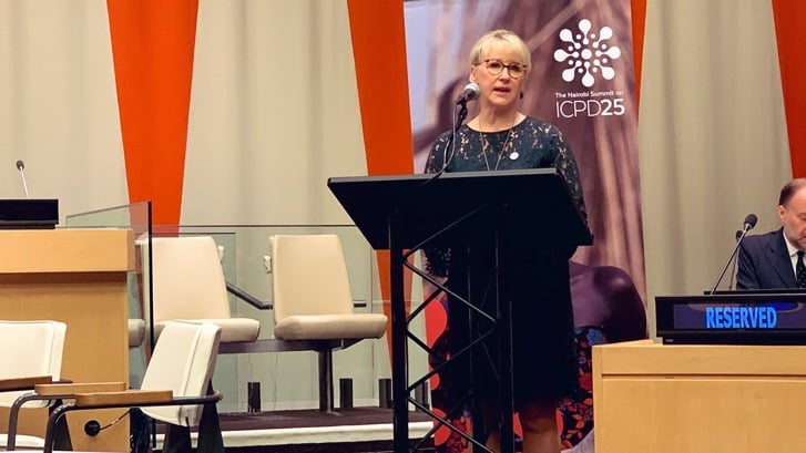 Utrikesminister Margot Wallström talar i Förenta Nationerna