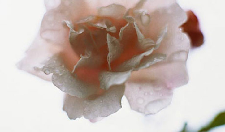 Foto: Susanna Blåvarg