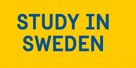 Study in Sweden logotype