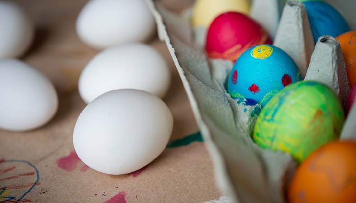 elliot_elliot-easter_eggs-6881 (1).jpg