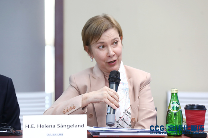 Picture of Ambassador Sångeland holding a speech