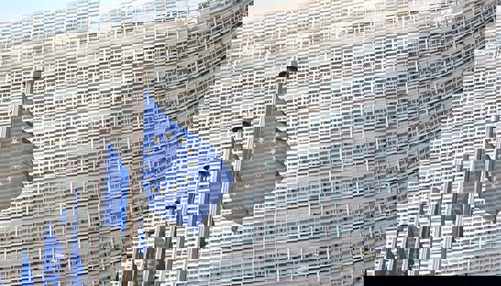 eu-flags-flickr-robyn-mack.jpg