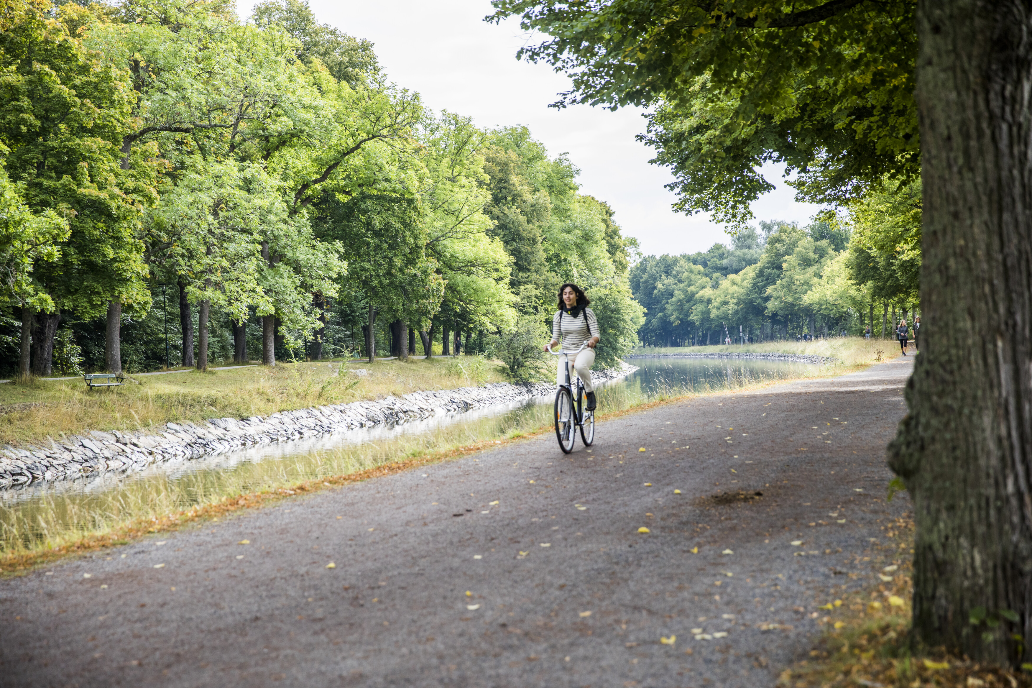 Tina Axelsson/imagebank.sweden.se