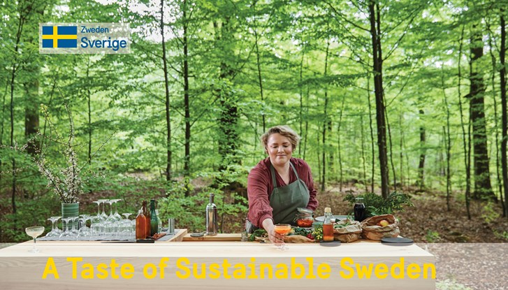 Photo of table in the woods
