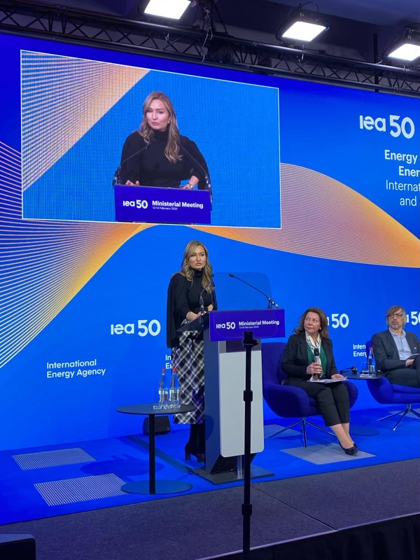 Energi- och näringsminister och vice statsminister Ebba Busch.