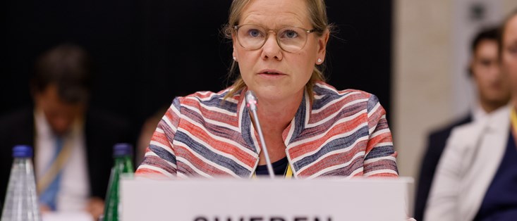 Ambassador Anna Olsson Vrang