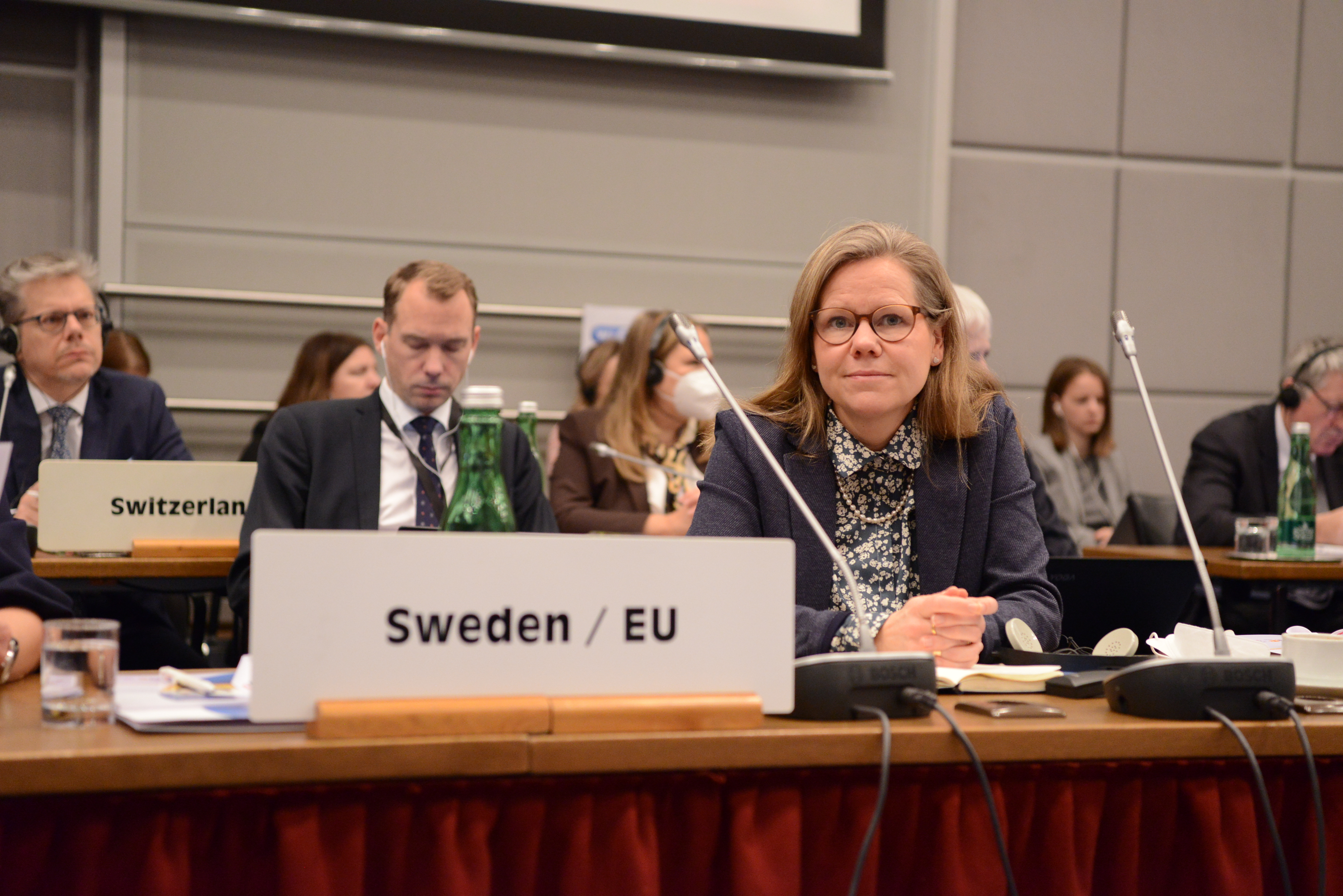 Ambassador Anna Olsson Vrang