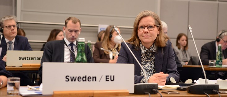 Ambassador Anna Olsson Vrang