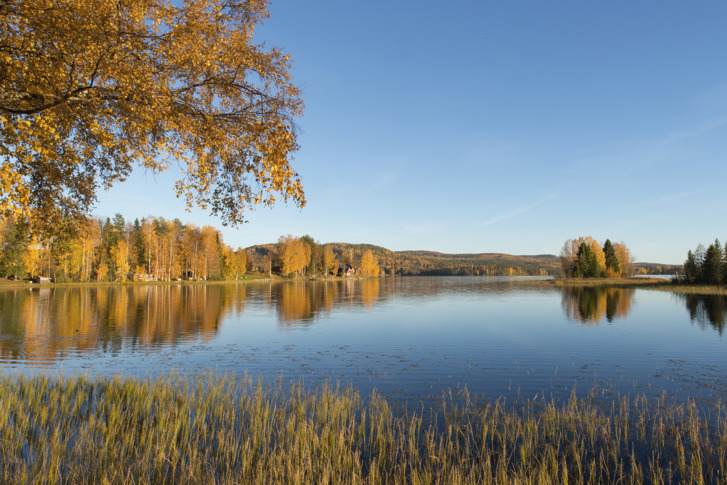 Bild på höst i Sverige