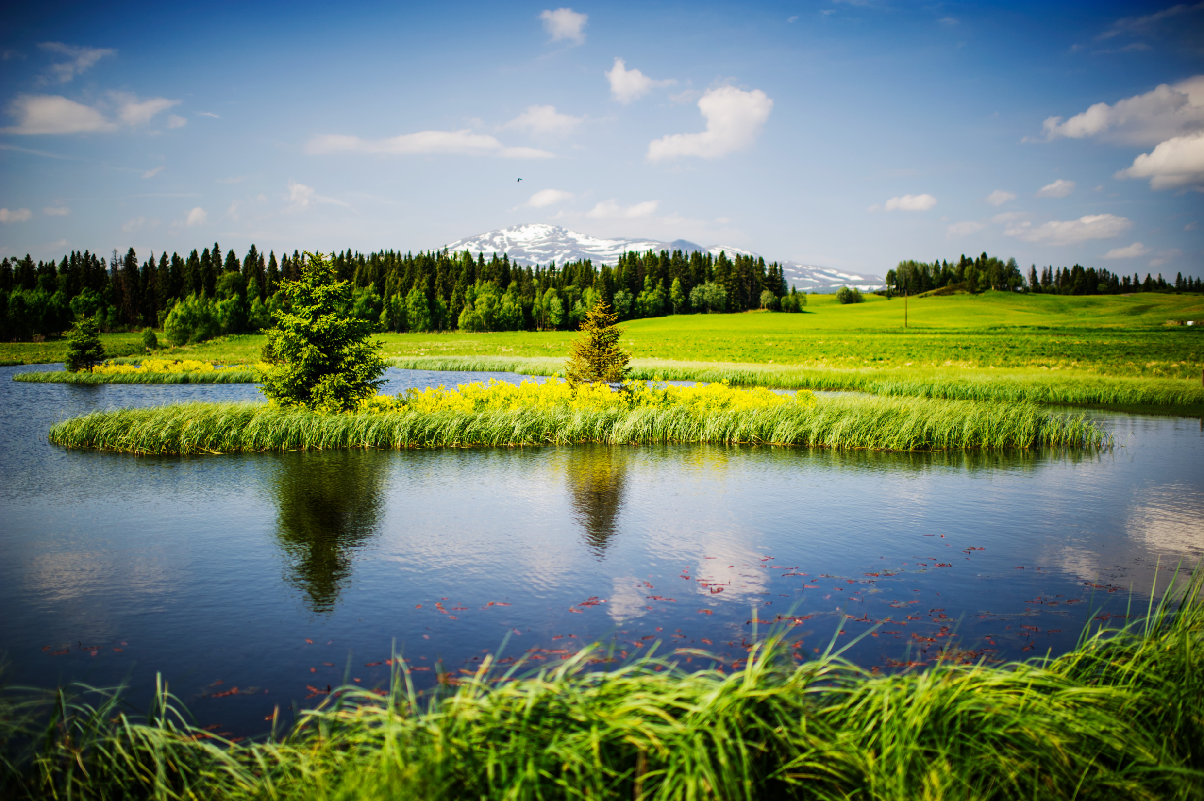 Fäviken i Jämtland