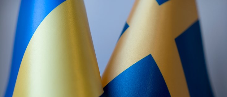 BANNER_Sweden_Ukraine_flags_02_Frida Drake.jpg