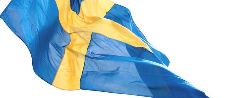 Bilden visar en svensk flagga