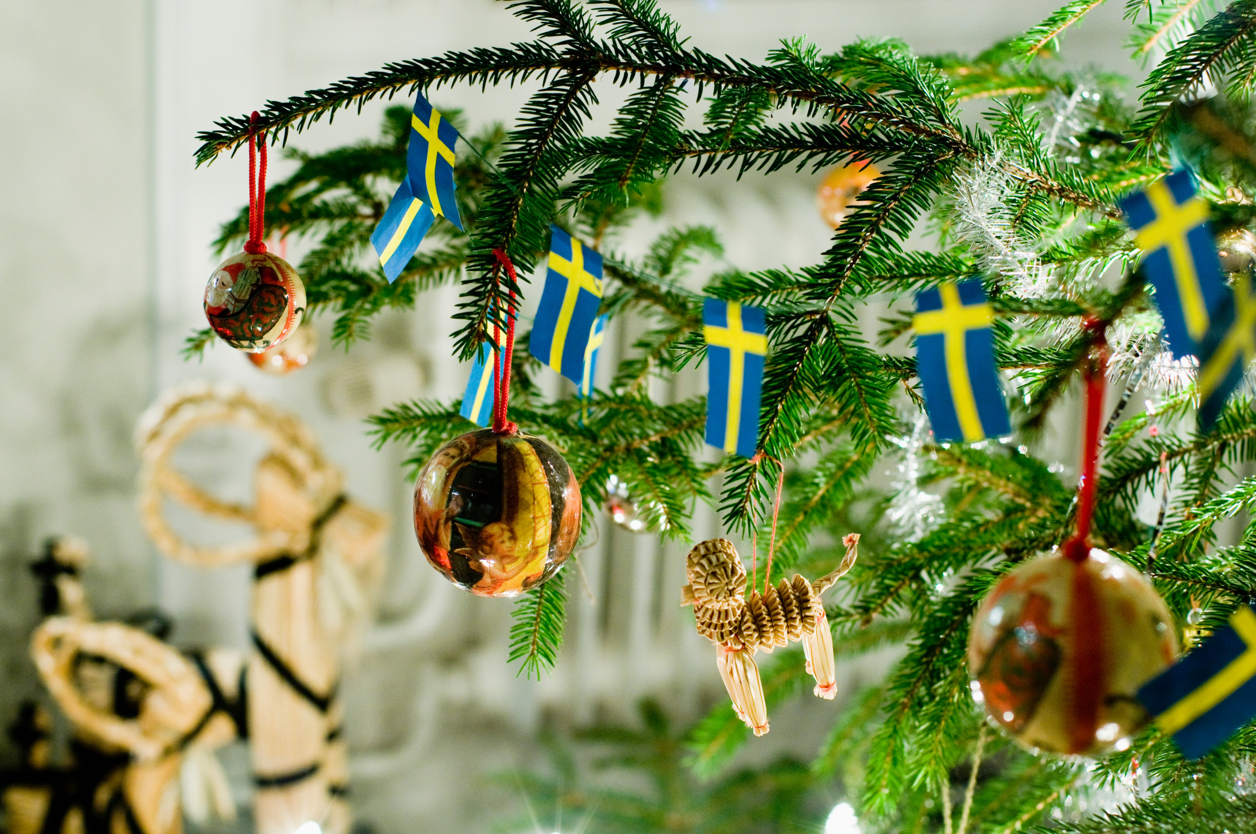 Photo: Helena Wahlman/imagebank.sweden.se