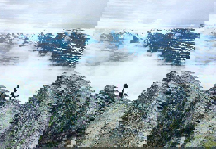 The Bear (from Johannes Stjärne Nilsson's film/ photo: zvg)