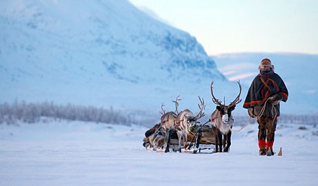 Lapland. Photo: Staffan Widstrand/imagebank.sweden.se