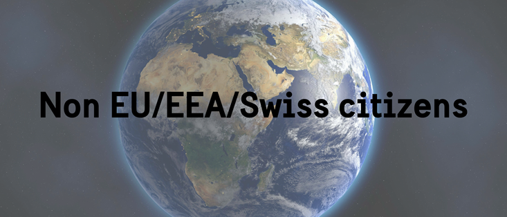 non EU/EEA/Swiss citizens