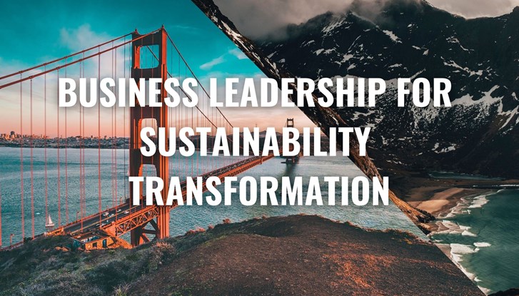 Business leadership for Sustainability Transformation
