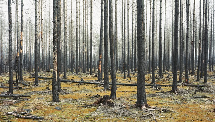 ©Helene Schmitz_Turnings of Fire