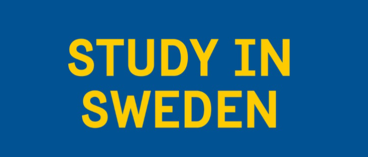 Study in Sweden logotype